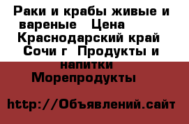 Раки и крабы живые и вареные › Цена ­ 400 - Краснодарский край, Сочи г. Продукты и напитки » Морепродукты   